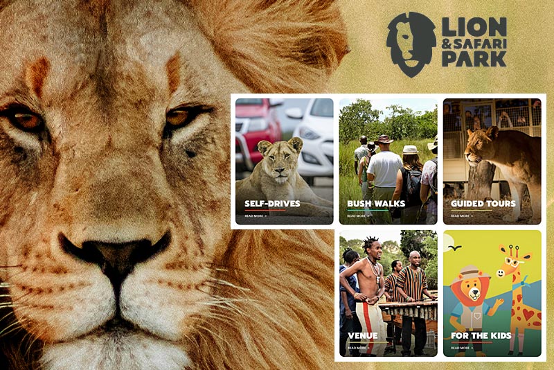 lion & safari park pelindaba road hartbeespoort broederstroom