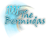 1001 Bermudas 1001 Bermudas