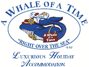 A Whale of a Time A Whale of a Time