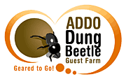 Addo Dung Beetle Guest Farm Addo Dung Beetle Guest Farm