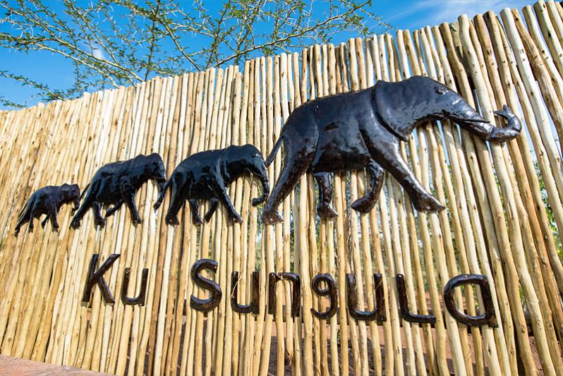 Welcome to Ku Sungula Safari Lodge