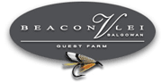 Beacon Vlei - Self Catering Beacon Vlei - Self Catering