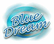 Blue Dream Blue Dream