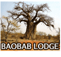 Baobab Lodge Baobab Lodge