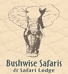 Bushwise Safaris & Lodge Bushwise Safaris & Lodge