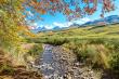 Autumn colours - Hotel Accommodation in Cathedral Peak, Drakensberg