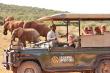 Activities such as open air safaris in the near Addo Elephant Park