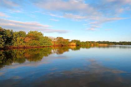 Fish Eagles Self Catering