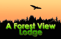 A Forest View Lodge A Forest View Lodge