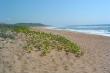Sandy beaches to explore - Go Wilds, Elysium - Self Catering Accommodation