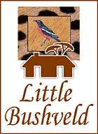 Little Bushveld Little Bushveld