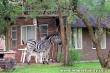 Cottage - 4 bed - Marloth Park Game Reserve Accommodation