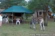 Campsite - Marloth Park Game Reserve Accommodation