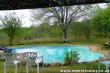 Swimming pool - Game Reserve Accommodation in Marloth Park, Kruger Park Area