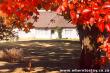 Autumn - Underberg Self Catering Cottage Accommodation