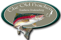 The Old Hatchery Self-Catering The Old Hatchery Self-Catering