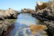 Tidal pools - safe for swimming