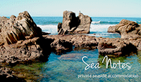 Sea Notes Sea Notes