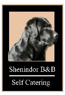 Shenindor Bed & Breakfast Shenindor Bed & Breakfast
