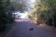Road to beach - Star Graded Self Catering Accommodation in Umdloti Beach