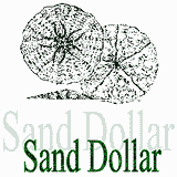 The Sand Dollar The Sand Dollar