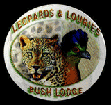 Leopards and Louries Bush Lodge Leopards and Louries Bush Lodge