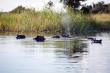 Game reserve accommodation in Okavango Delta