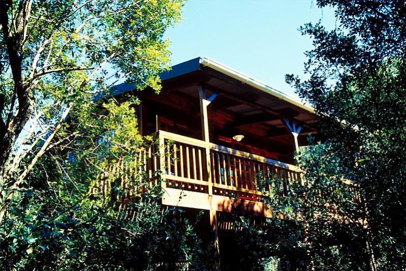 Bushpig Forest Cabin