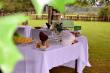 Wedding snacks - Guest Farm Accommodation in Bulwer, Ashtonvale Guest Farm