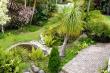 Tropical garden - Bed & Breakfast in Bunkers Hill