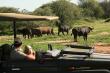 Game drives on our beautiful BIG FIVE reserve 
