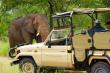 Rhino Post Safari Lodge Game Drive