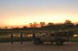 Plains Camp (home of Rhino Walking Safaris) Sundowner Game Drive