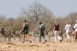 Plains Camp (home of Rhino Walking Safaris) Guided Safari Bush Walks