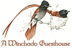 Winchado Guest Lodge and Conference Winchado Guest Lodge and Conference
