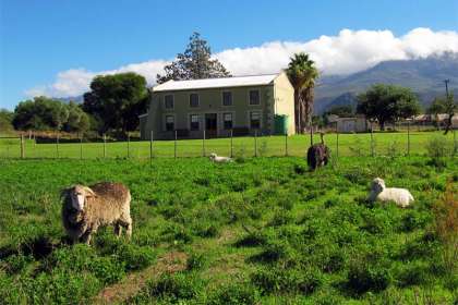 Waterkloof Guest Farm