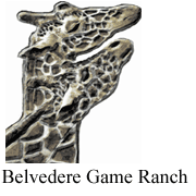 Belvedere Game Ranch Belvedere Game Ranch