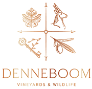 Oude Denneboom Oude Denneboom