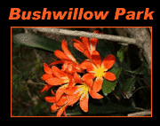 Bushwillow Park Bushwillow Park