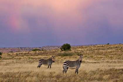 Pretoriuskop Restcamp