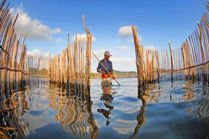 Kosi Bay Nature Reserve