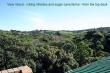 360 degree view - inland from roof deck - sub tropical 'jungle' with prolific birdlife