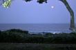 full moon at dusk over the Indian Ocean - view from balcony