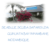 Seablue Scuba Safaris Lda t/a Seablue Lodge Seablue Scuba Safaris Lda t/a Seablue Lodge