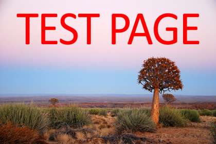 BARNEY BILLS TEST PAGE