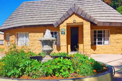 Mountain View Cottages