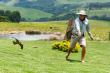 Gooderson Monks Cowl Golf Resort - Drakensberg