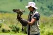 Gooderson Monks Cowl Golf Resort - Drakensberg