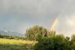 A rainbow over the hekpoort valley 