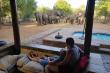 Watching elephants from the patio 